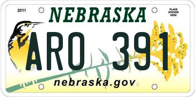 NE license plate ARO391