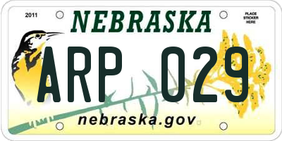 NE license plate ARP029