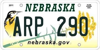NE license plate ARP290