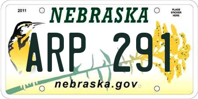 NE license plate ARP291