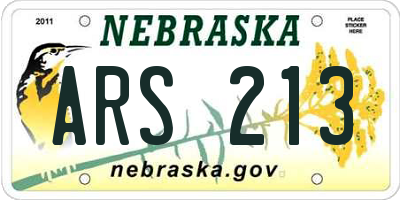 NE license plate ARS213