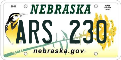 NE license plate ARS230