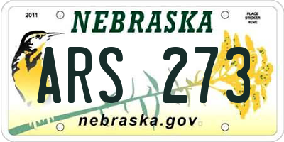 NE license plate ARS273