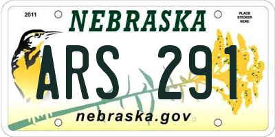 NE license plate ARS291