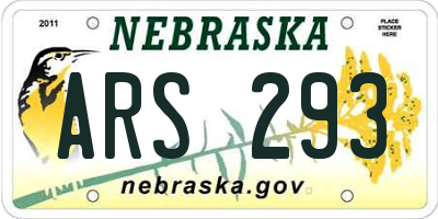 NE license plate ARS293