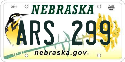 NE license plate ARS299
