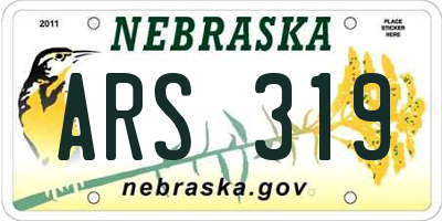 NE license plate ARS319