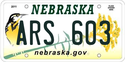 NE license plate ARS603