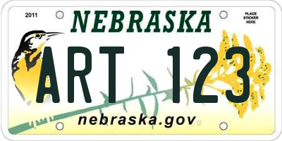 NE license plate ART123