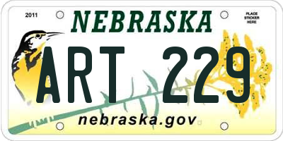 NE license plate ART229