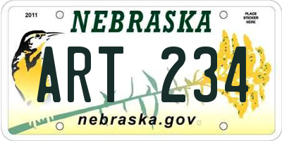 NE license plate ART234