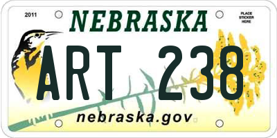 NE license plate ART238
