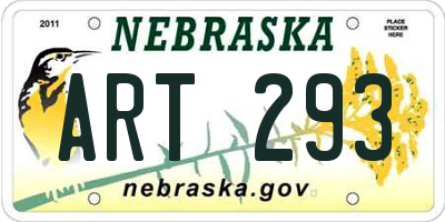 NE license plate ART293