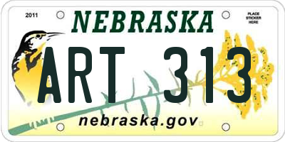 NE license plate ART313