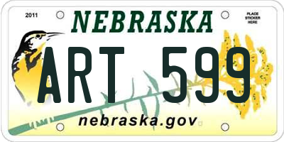 NE license plate ART599