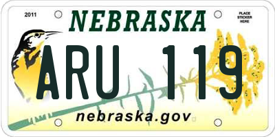 NE license plate ARU119