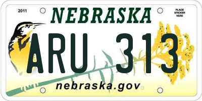 NE license plate ARU313