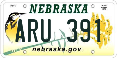 NE license plate ARU391