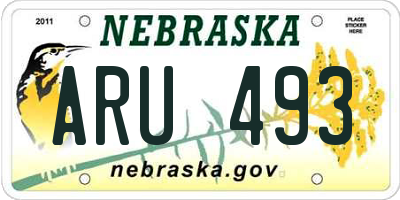 NE license plate ARU493
