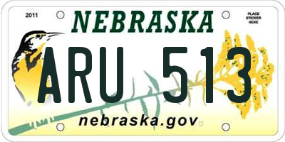 NE license plate ARU513