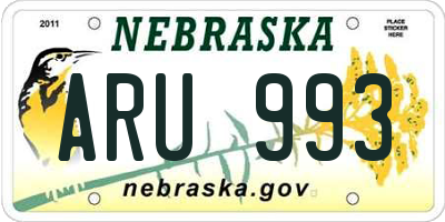 NE license plate ARU993