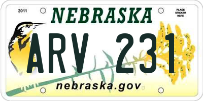 NE license plate ARV231