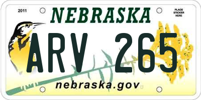 NE license plate ARV265