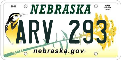 NE license plate ARV293