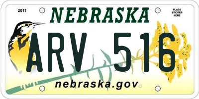 NE license plate ARV516