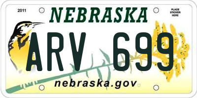 NE license plate ARV699