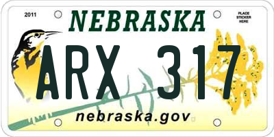 NE license plate ARX317