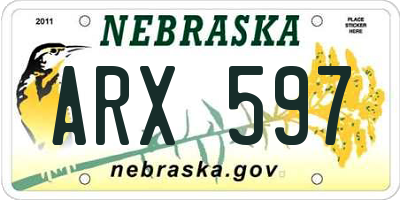 NE license plate ARX597