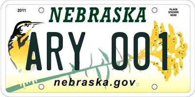 NE license plate ARY001