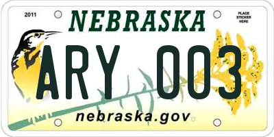 NE license plate ARY003