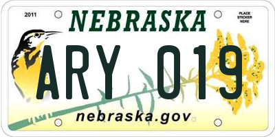 NE license plate ARY019