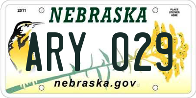 NE license plate ARY029