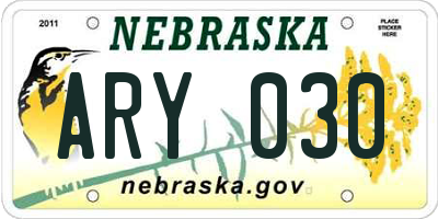 NE license plate ARY030