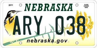 NE license plate ARY038