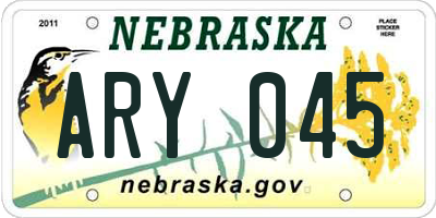 NE license plate ARY045
