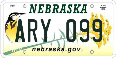 NE license plate ARY099
