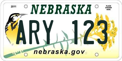 NE license plate ARY123