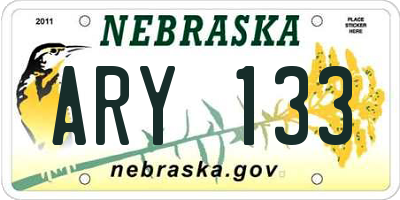 NE license plate ARY133