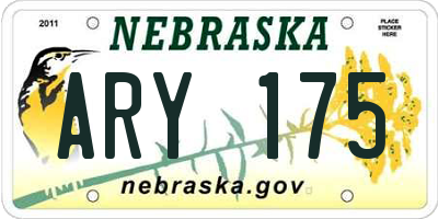 NE license plate ARY175