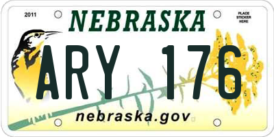 NE license plate ARY176