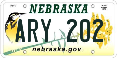 NE license plate ARY202
