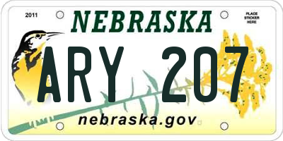 NE license plate ARY207