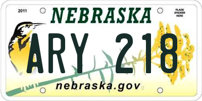 NE license plate ARY218