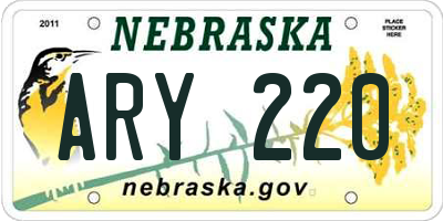 NE license plate ARY220