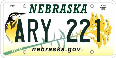 NE license plate ARY221