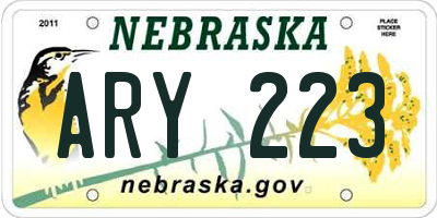 NE license plate ARY223